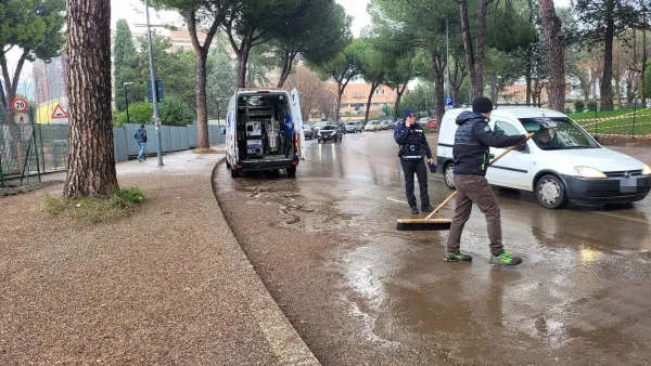 "Per il guano degli uccelli c'è un piano per la pulizia"