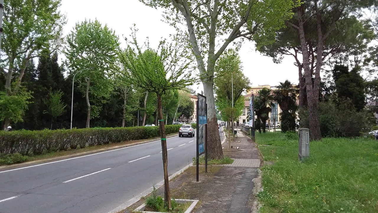 Via Aleardi