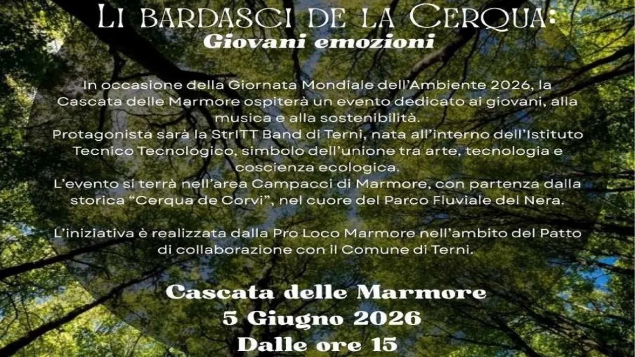 Li bardasci de la cerqua - locandina