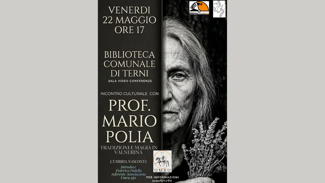 Polia bct 2026 