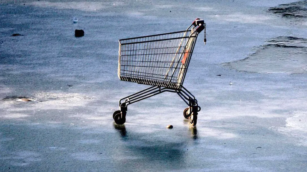 carrello della spesa