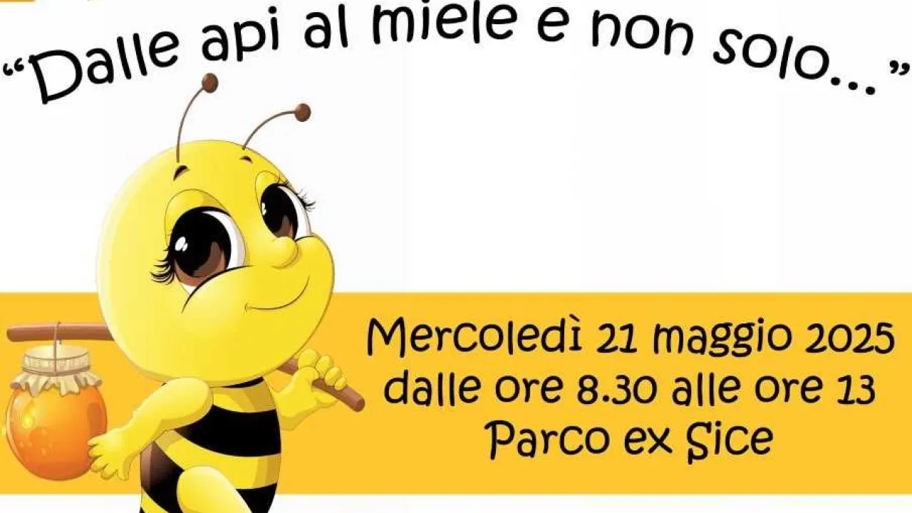 Laboratorio su api e miele 
