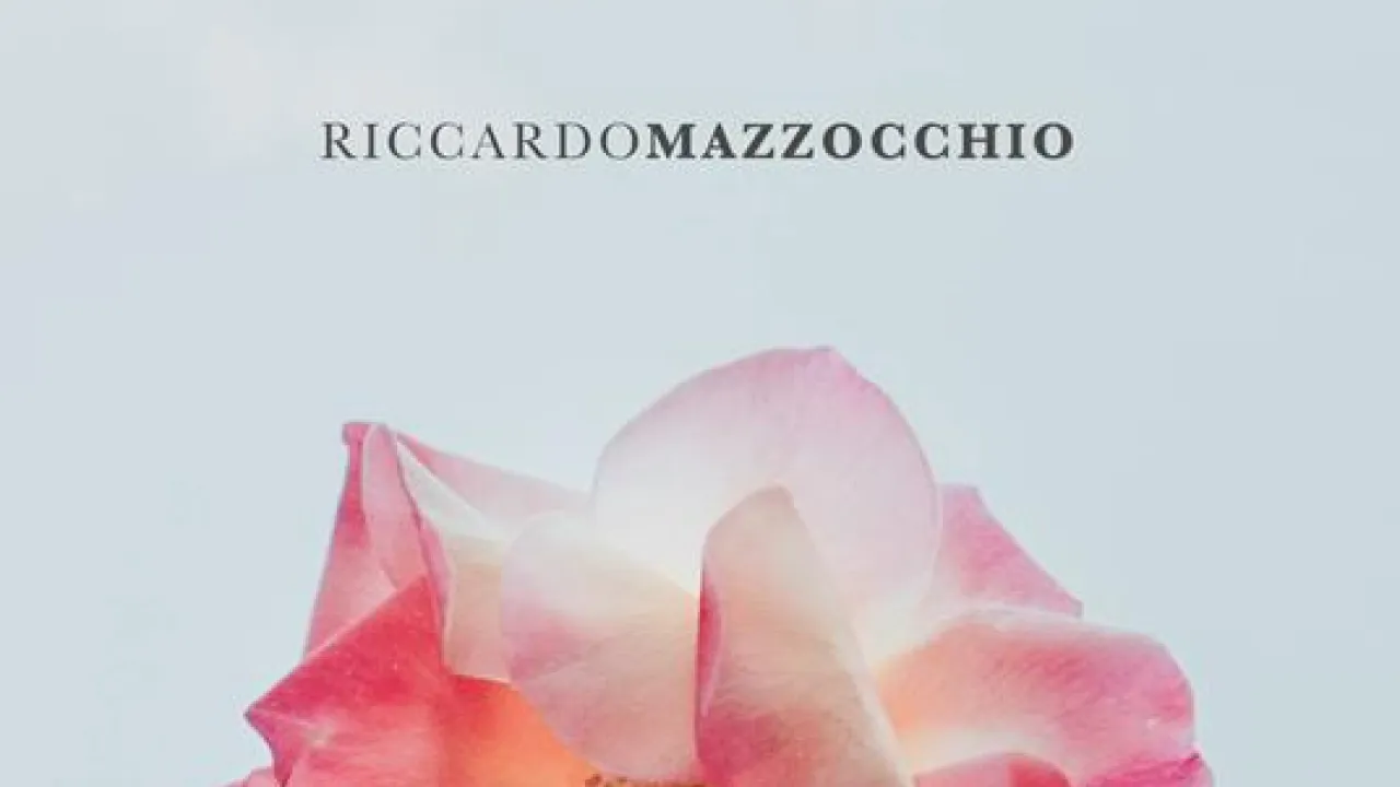 Mazzocchio